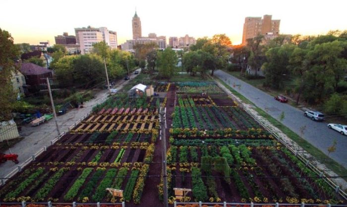 Michigan-Urban-Farming